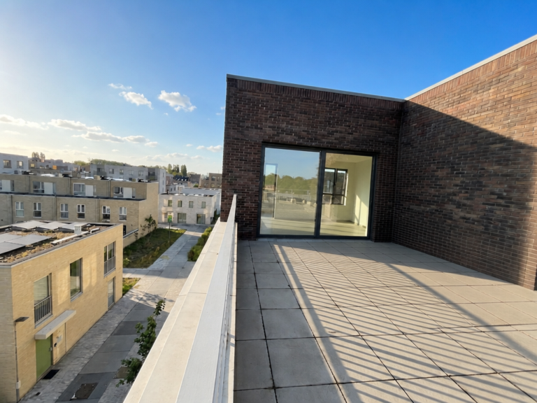 CastorC_terras_zon_leeg