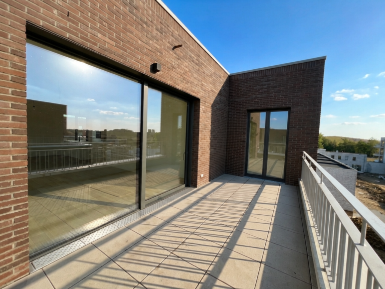 terras_castorB-zon_leeg